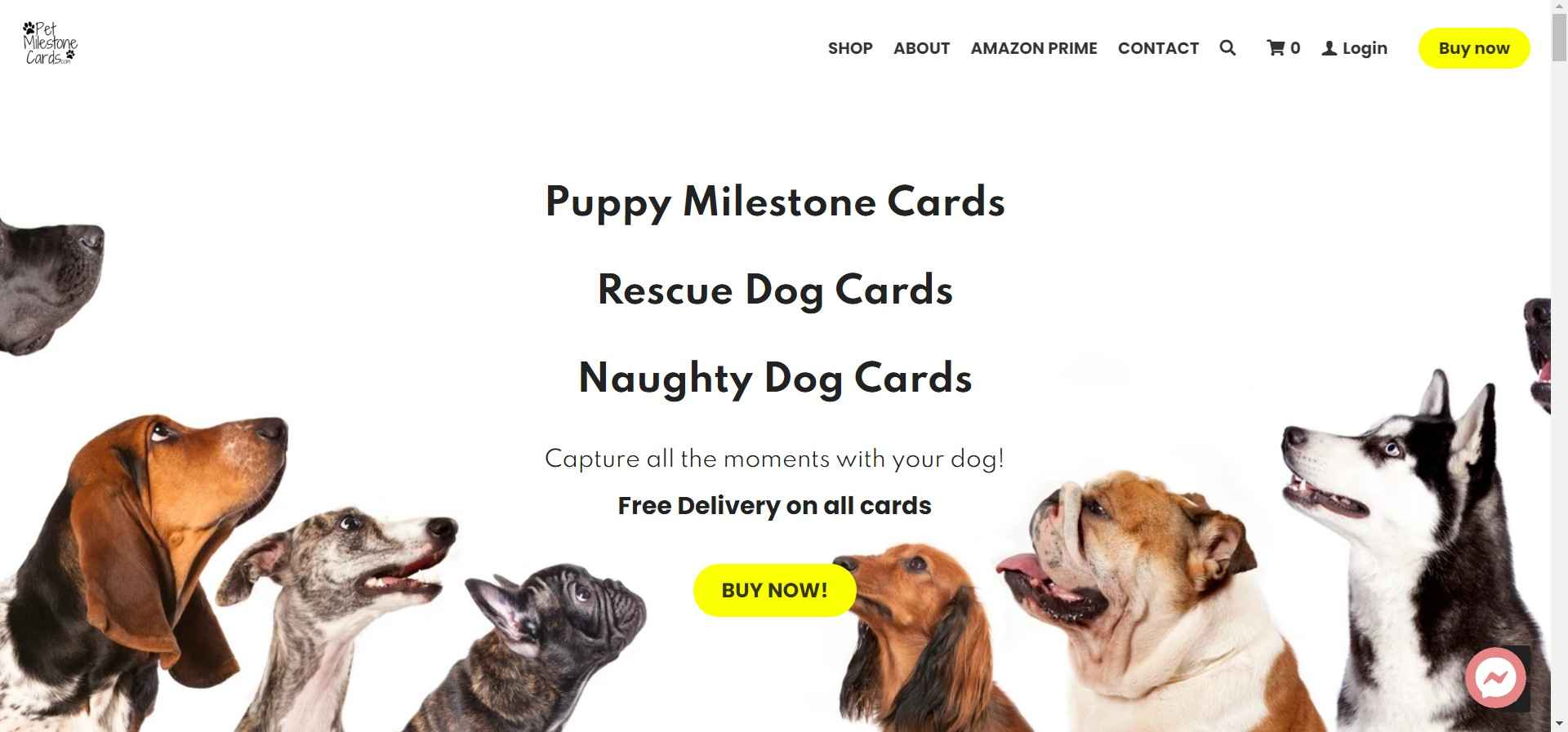 Lever and Bloom Coffee Lever and Bloom Coffee